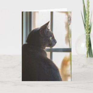 Cartão Sympathy for loss of pet greeting card blank