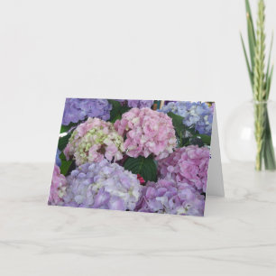 Cartão Sympathy Hydrangeas