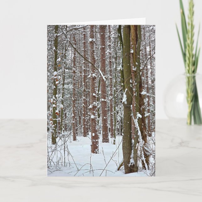 Cartão Sympathy Tranquil Winter Forest  (Frente)