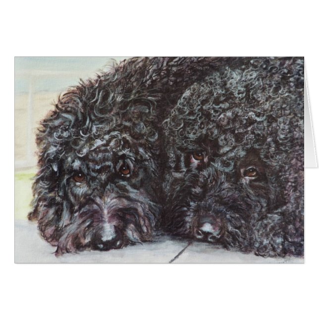 Cartão "Syrah e Cabernet " (Frente Horizontal)