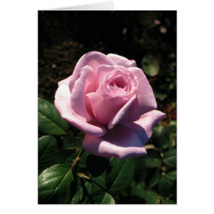 Cartão Születésnapot Húngaro-Boldog