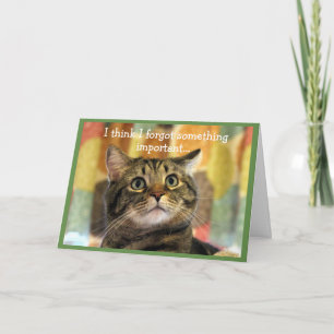 Cartão Tabby Cat... Abaixado Aniversário