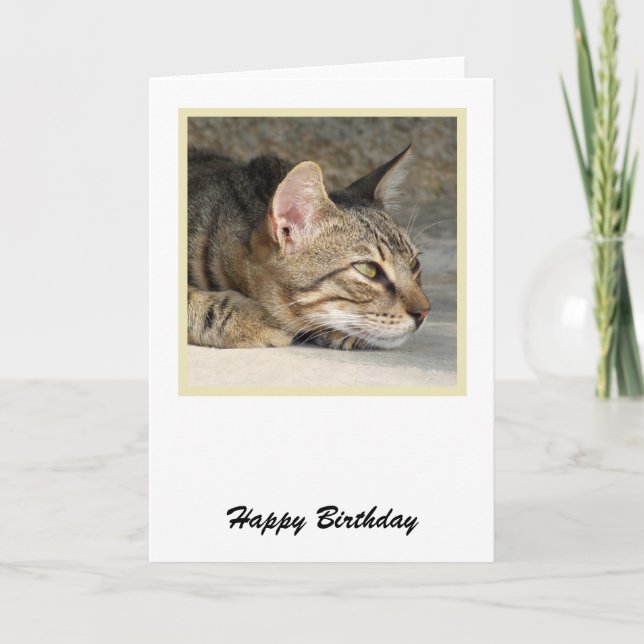 Cartão Tabby Cat Birthday Card (Frente)