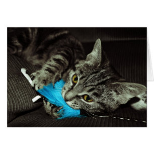 Cartão Tabby Cat com pena de Shirley Taylor