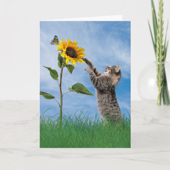 Cartão Tabby Cat com Sunflower Birday (Frente)