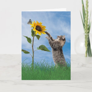 Cartão Tabby Cat com Sunflower Birday