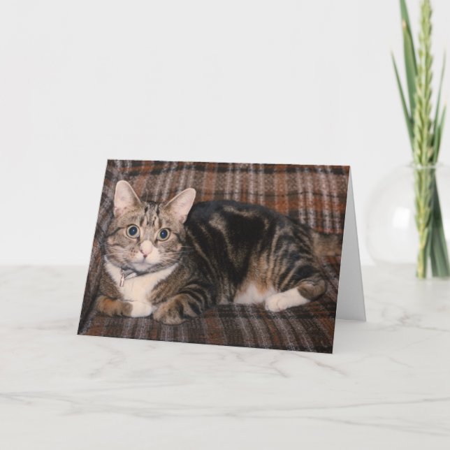 Cartão tabby cat Father's Day card (Frente)