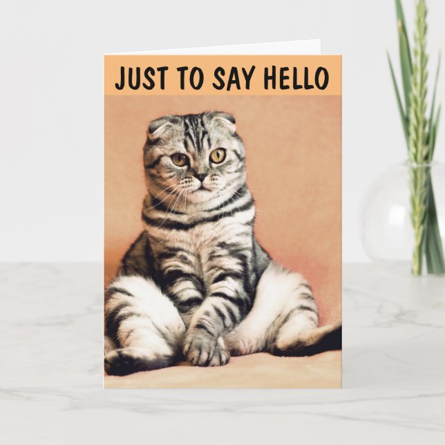 CARTÃO TABBY CAT GREETING CARD PARA DIZER OLÁ (Frente)