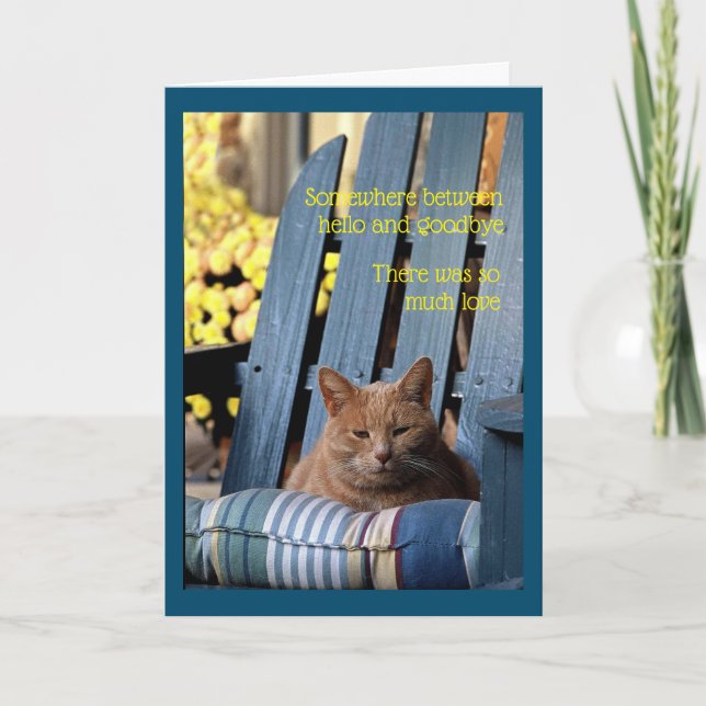 Cartão Tabby Cat Laranja na Cadeira Azul (Frente)