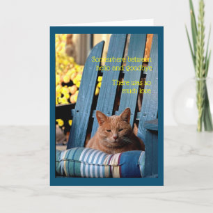 Cartão Tabby Cat Laranja na Cadeira Azul