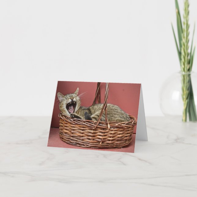 Cartão Tabby Cat Note Card (Frente)