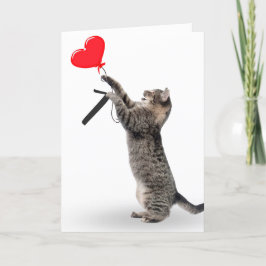 Cartão Tabby Cat para o Aniversário de 7