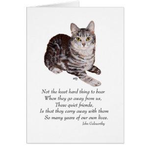 Cartão Tabby Cat Rainbow Bridge