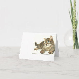 Cartão Tabby Kitten