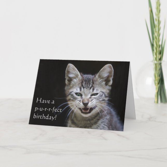 Cartão Tabby Kitten Happy Birthday (Frente)