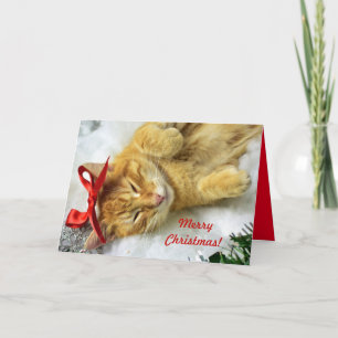 Cartão Tabby Laranja Personalizado - Natal