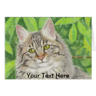 Cartão Tabby Longhair