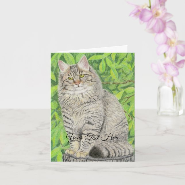 Cartão Tabby Longhair (Orquídea)