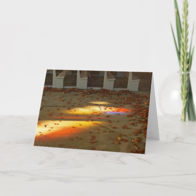 Cartão Tabernacle Leaves and Light - Vineyard de Martha (Frente)