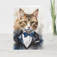 Tabuleiro de Aquarelas Cat Tuxedo e Vazio de Grava