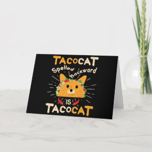 Cartão Tacocat Ortografado Cinco de Mayo Cat Taco