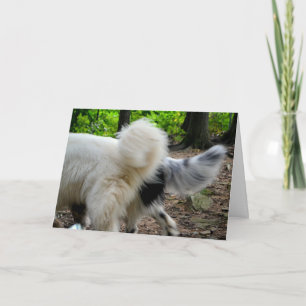 Cartão Tail Wagging Ways / Anniversary Card