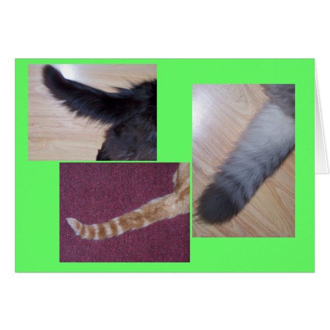 Cartão Tales (Frente Horizontal)