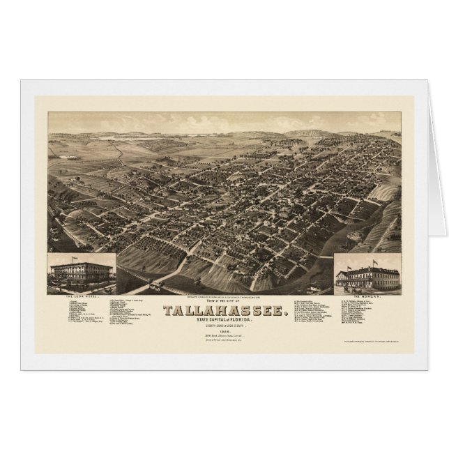 Cartão Tallahassee, mapa panorâmico de FL - 1885 (Frente Horizontal)