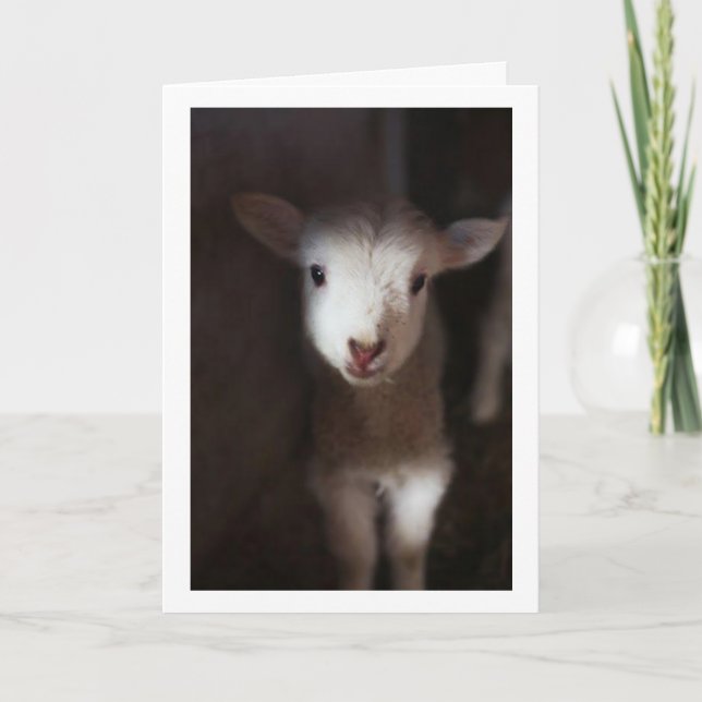 CARTÃO TALVEZ SEJA UM BEBÊ, MAS POSSO DIZER **MERRY NATMA (Frente)