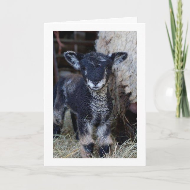 CARTÃO TALVEZ SEJA UMA CRIANÇA, MAS POSSO DIZER **MERRY N (Frente)