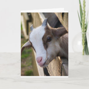 CARTÃO TALVEZ SEJA UMA CRIANÇA, MAS POSSO DIZER **MERRY N