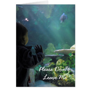 Cartão Tambor Turtle