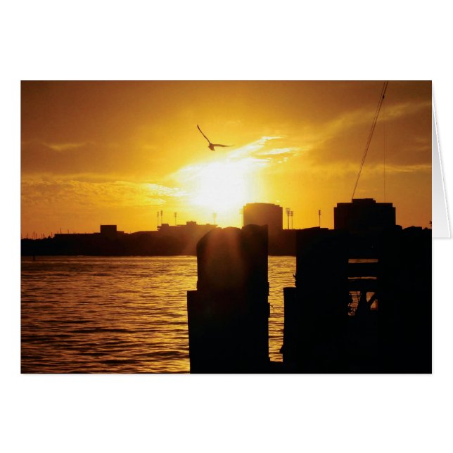 Cartão Tampa Bay (Frente Horizontal)