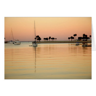 Cartão Tampa, Flórida