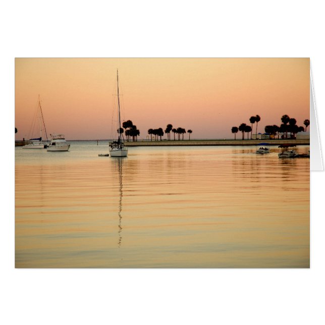 Cartão Tampa, Flórida (Frente Horizontal)