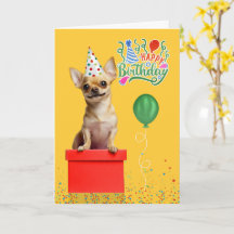 Tan Chihuahua Dog Party Hat Yellow Birthday