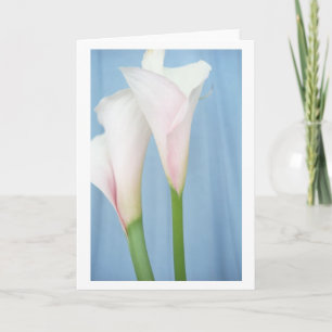 Cartão Tango White Calla Lily Photo Art Greeting Card
