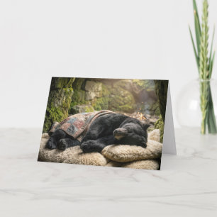 Cartão Tão Bem Logo Urso Negro Dormindo Sob um Cobertor