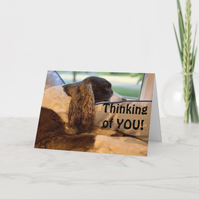 CARTÃO TÃO FELIZ E QUER FELICITÁ-LO (Frente)