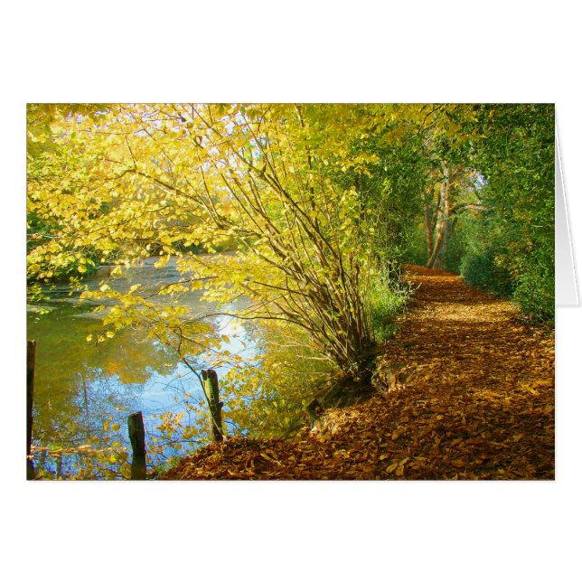 Cartão tapete de folhas (Frente Horizontal)