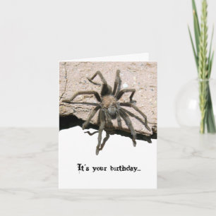 Cartão Tarantula Birthday Card