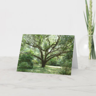 Cartão Tarde do verão de Bluffton