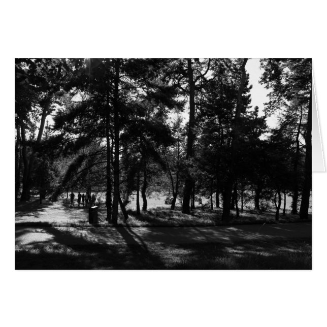 Cartão Tarde no Parque (Frente Horizontal)