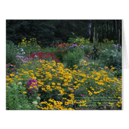 Cartão Tarde Verão, Mullein Ridgeline