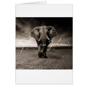 Cartão Tarjeta de Ánimo JWcard