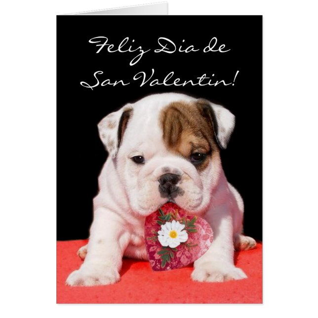 Cartão Tarjeta de San Valentin Cachorro (Frente)