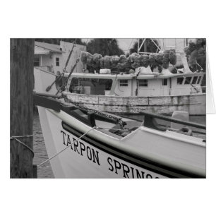 Cartão Tarpon