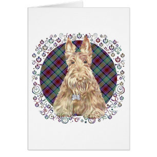 Cartão Tartan Wheaten Scottie