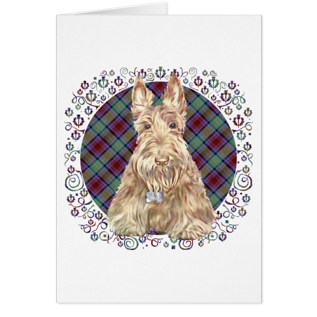 Cartão Tartan Wheaten Scottie (Frente)