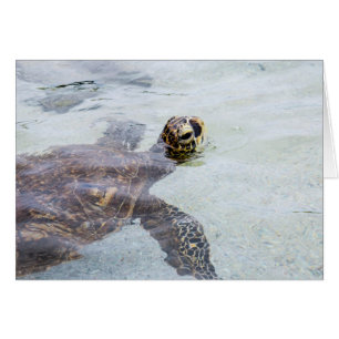 Cartão Tartaruga de mar havaiana de Honu - tartarugas de